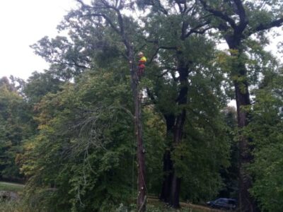 5a69bf69-8807-447b-90d3-c96f906e9108 5a69bf69-8807-447b-90d3-c96f906e9108