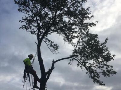 70870594_550100459064198_7482994504752955392_n 70870594_550100459064198_7482994504752955392_n