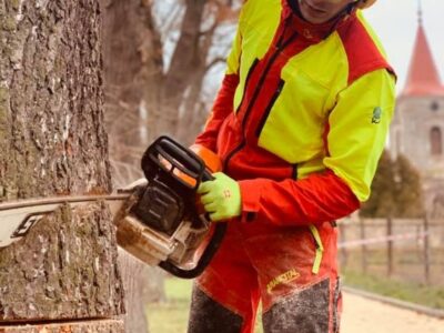 79868111_615481745859402_7005267779204939776_n 79868111_615481745859402_7005267779204939776_n