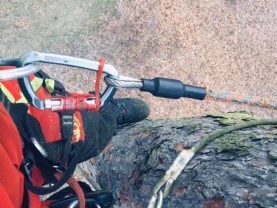 82281307_643719476368962_1651967898056392704_n 82281307_643719476368962_1651967898056392704_n