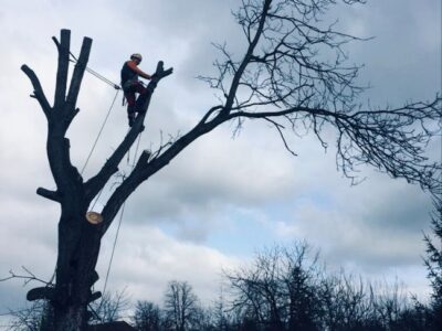 9ce6d373-815d-4e8b-bf0d-1710e75f619c 9ce6d373-815d-4e8b-bf0d-1710e75f619c